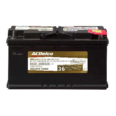 2. ACDelco 49AGM Professional AGM Automotive BCI Group 49 Battery