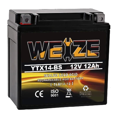 3. Weize YTX14-BS