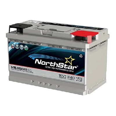 4. NORTHSTAR Pure Lead Automotive Group 94R (L4) Battery