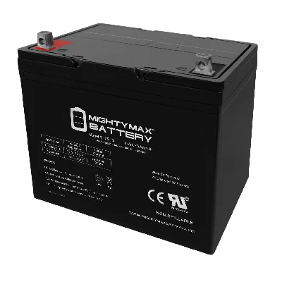 5. Mighty Max Battery ML75-12